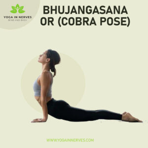 Bhujansasana (Cobra pose)
